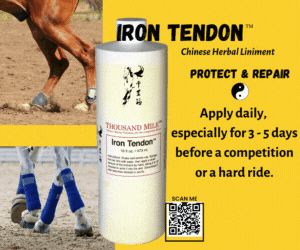 Save horses tendons with IRON TENDON
